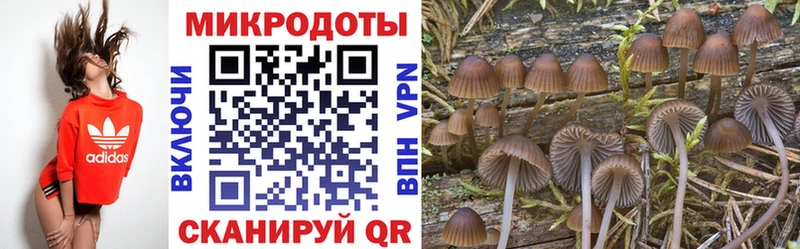 где найти наркотики нарко площадка как зайти кракен как зайти Галлюциногенные грибы Psilocybine cubensis Дубовка